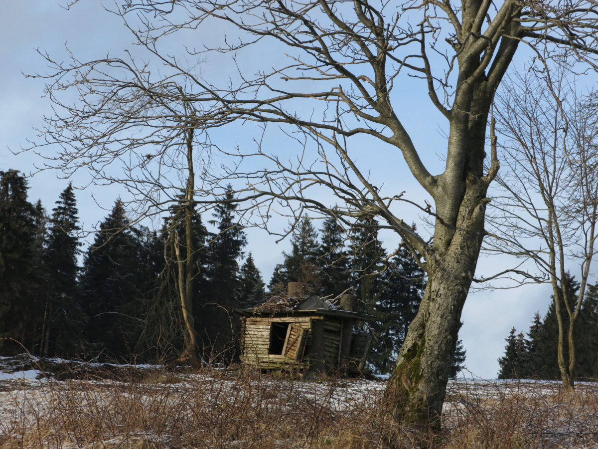 Ein windschiefes Haus im Harz