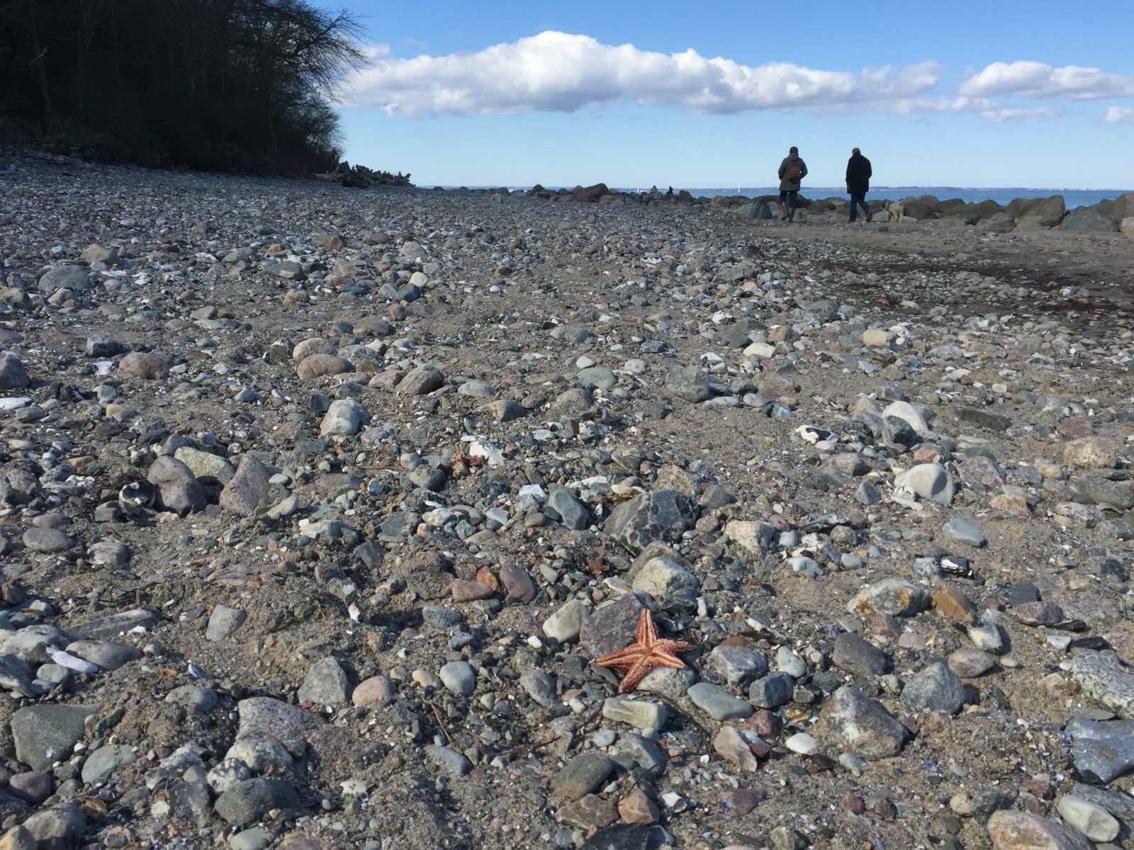 Strand voller Steine - bloß keine Symbolik