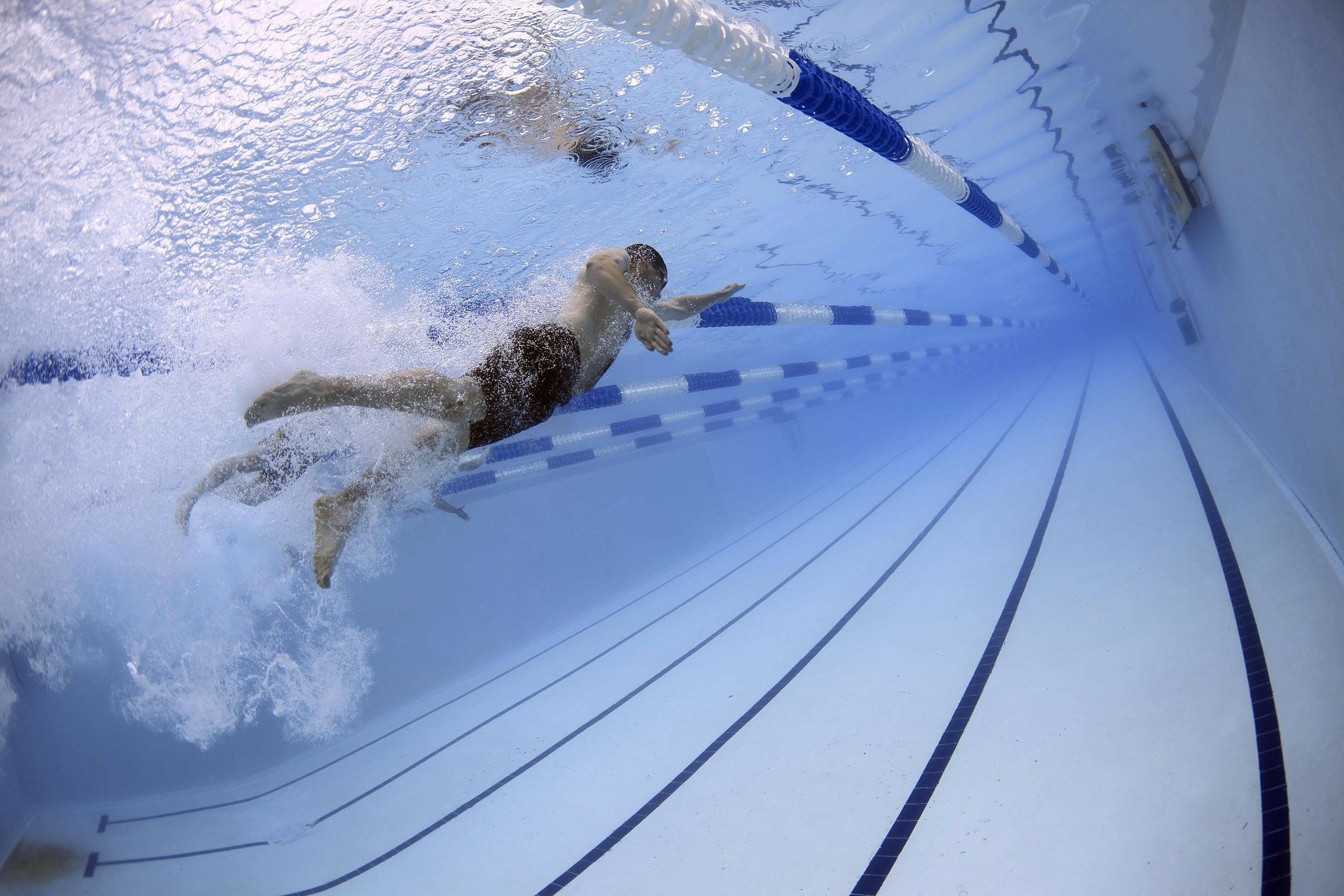 Schwimmer im Pool - by David Mark from Pixabay