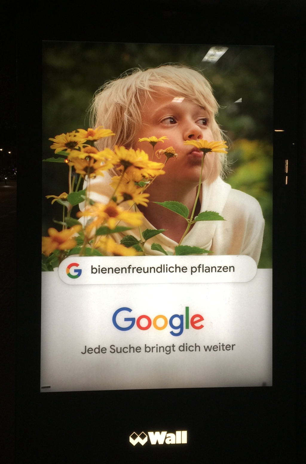 Google-Anzeige mit bienenfreundlichen Pflanzen