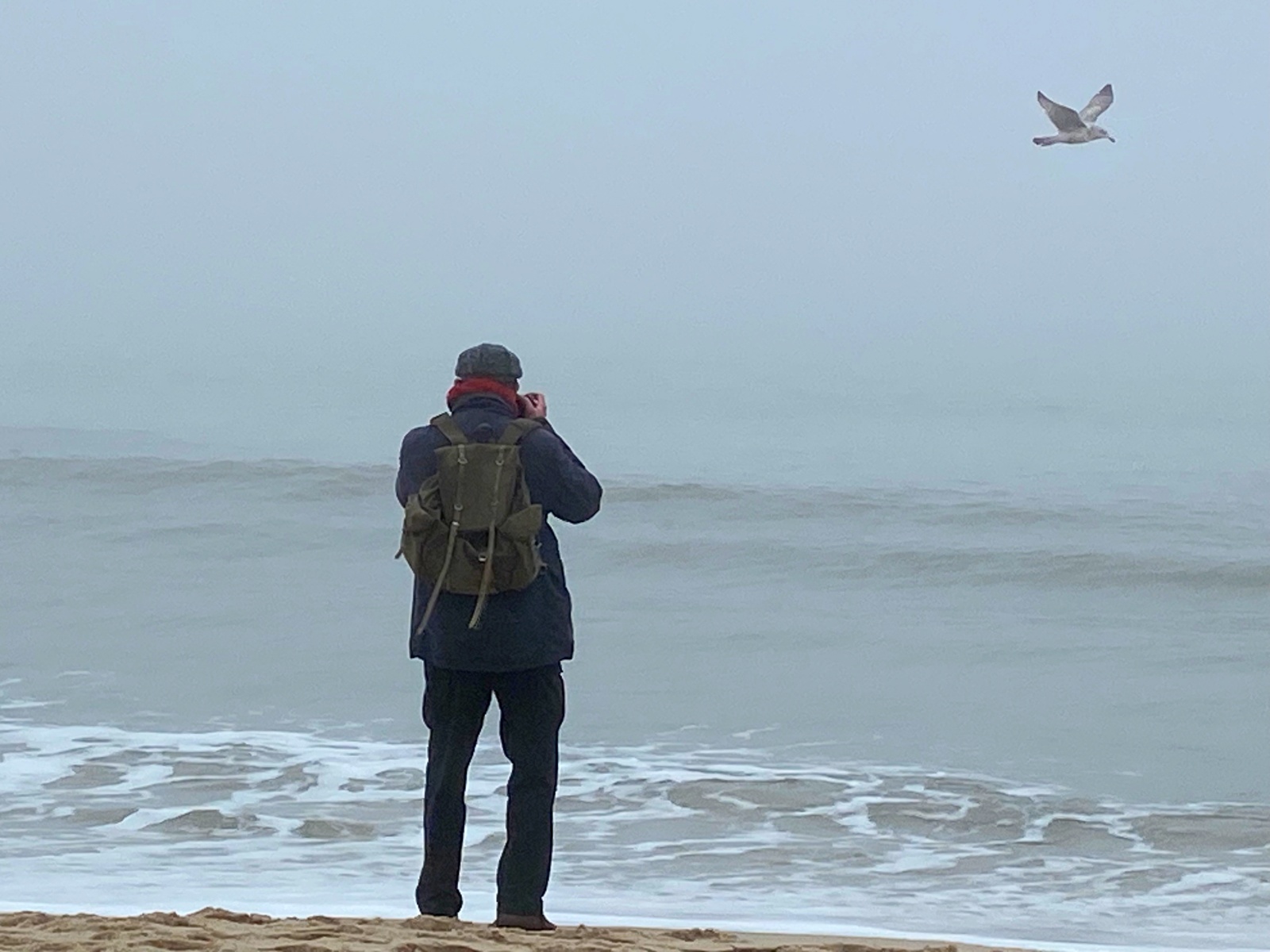 Ein Mann am Strand fotografiert eine Möwe